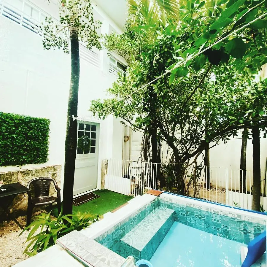 Cozy Tiny Studio Acasadialexplayadelcarmen Playa del Carmen 0*,  Messico