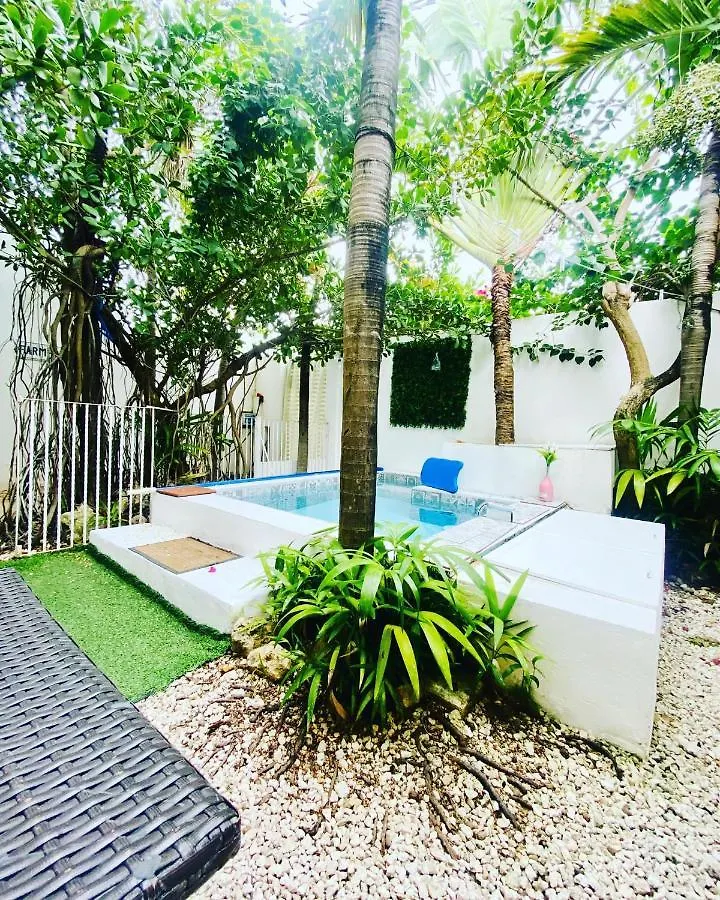 Cozy Tiny Studio Acasadialexplayadelcarmen Playa del Carmen