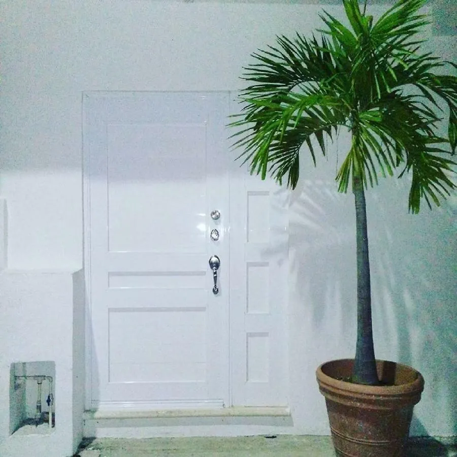 Cozy Tiny Studio Acasadialexplayadelcarmen Playa del Carmen